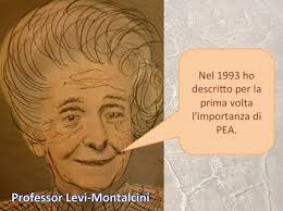 PEA (Palmitoilethanolamide)